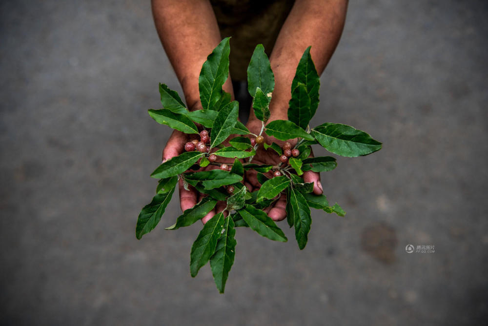 四川贫困山村孩子们的三餐 看着心酸 (高清组图)