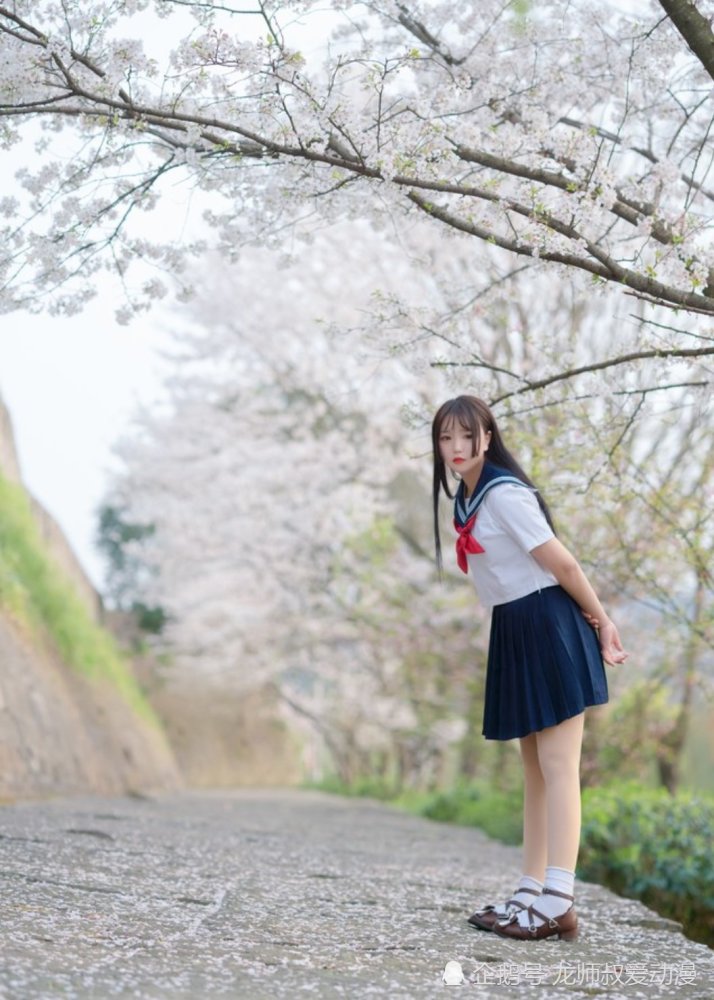 jk日常:樱花树下的jk美少女,这是什么神仙颜值