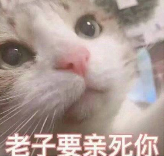 土味情话撩人专用表情包:我要睡了,你要给我说晚安!