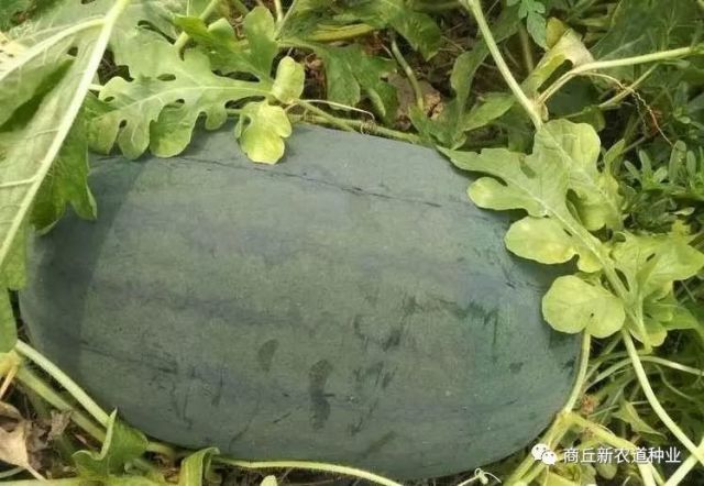 640