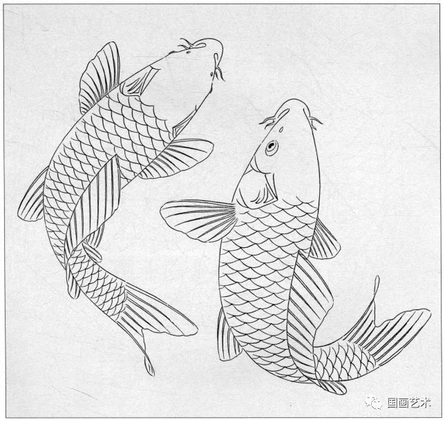 白描《鲤鱼百态》选页欣赏
