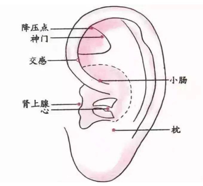 高血压,不怕,耳朵上有一条降压沟,每天揉一揉,血压一天天下降