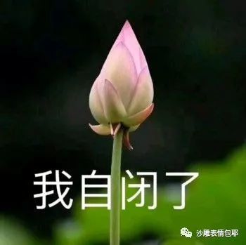 我自闭了!莲花表情火遍朋友圈