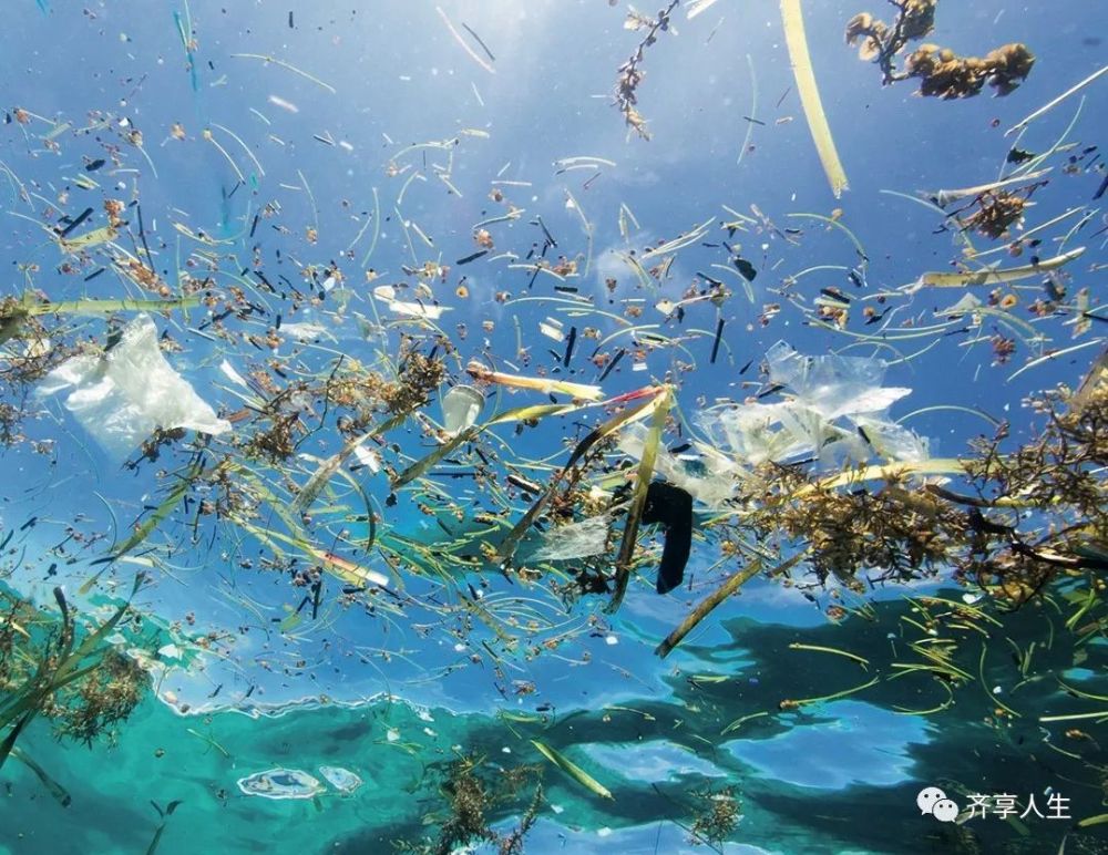 海洋中的塑料垃圾