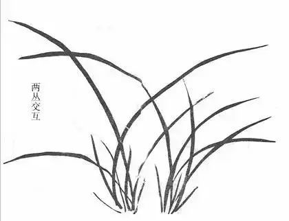 书画联盟丨初学者怎样取法芥子园画兰花层次法画心法双钩法赶紧学