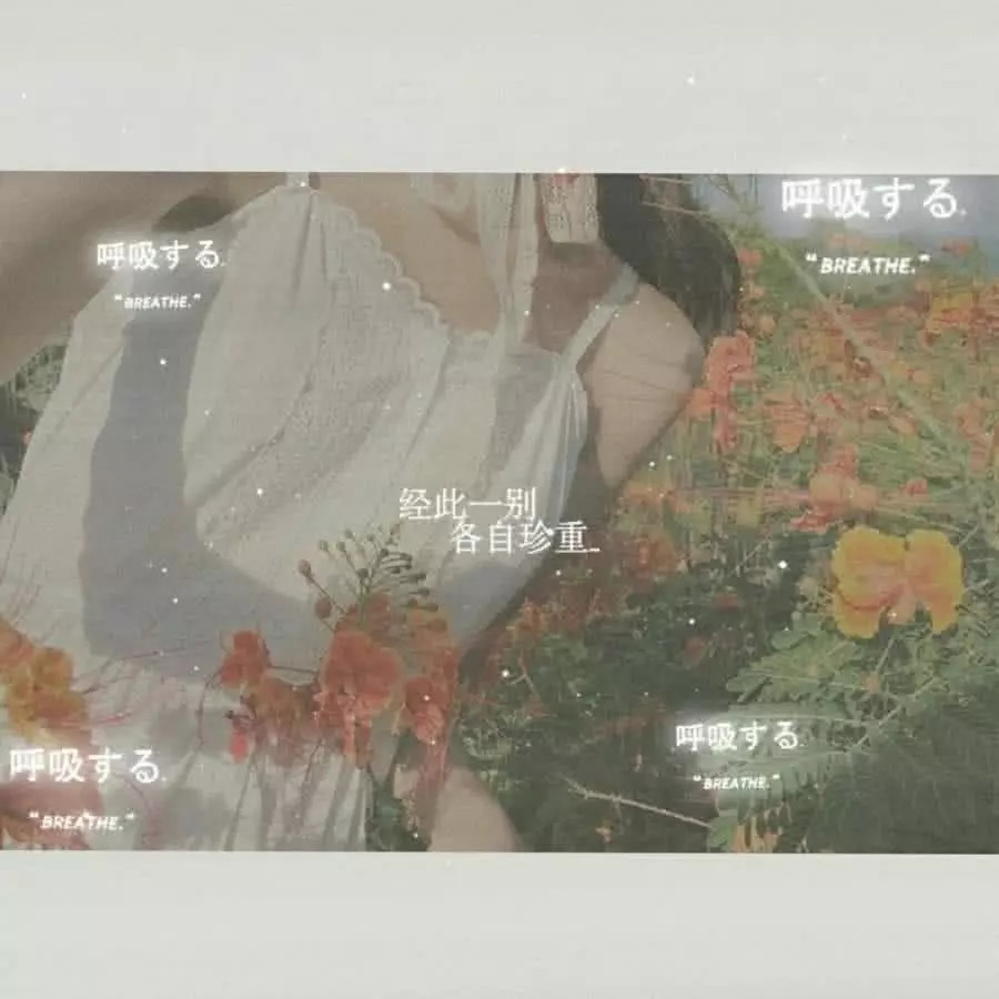 ins 壁纸 都说失去以后才懂得珍惜 其实珍惜后的失去最痛 看点快报
