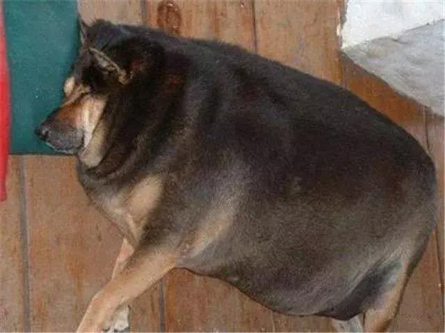 640