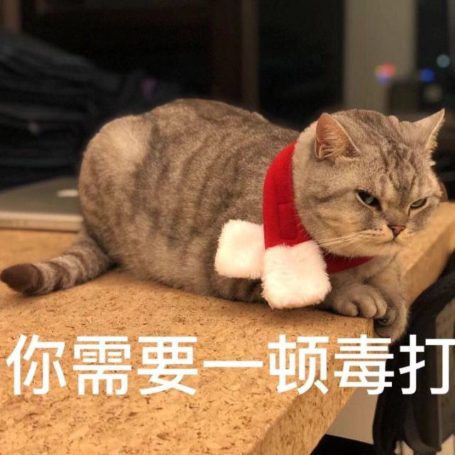 搞笑的表情包:你需要一顿毒打
