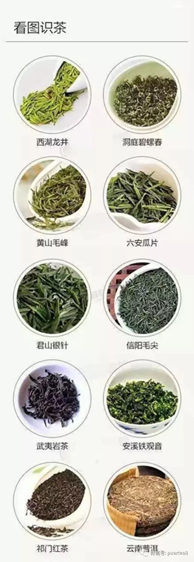 【入门干货】不懂茶,可以看图识茶