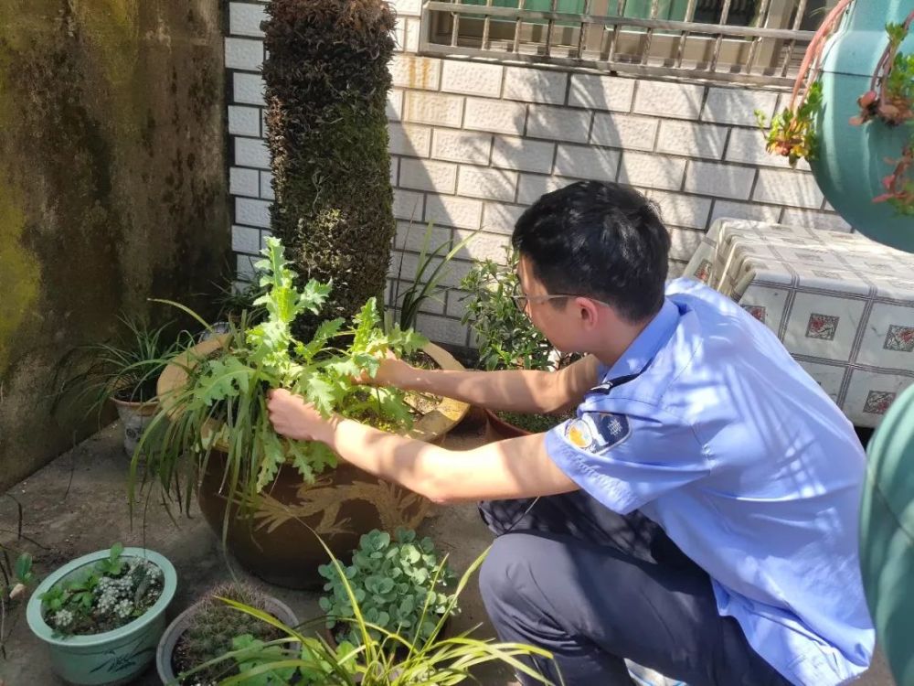 在家种几株罂粟用来观赏,没想到宁波男子摊上事了