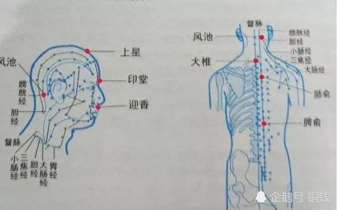 有108个要害穴,其中有72个穴一般点击不至于致命,其余36个穴是致命穴