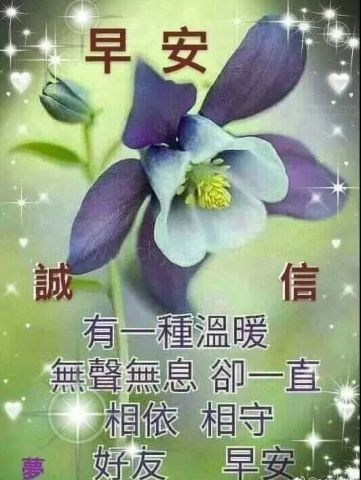 周六特别漂亮早上好问候语图片带字温馨,早安问候动态