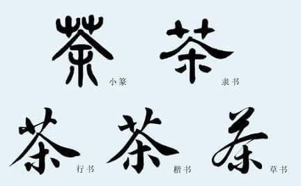 【字形演变】今天我们来认识【茶 chá 】这个字.