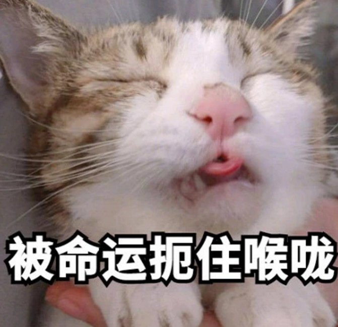 最近"超秀"表情:被命运扼住喉咙,不敢挣扎