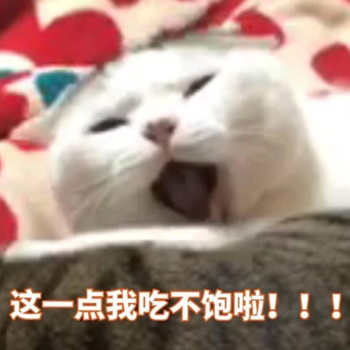 搞笑猫咪表情包:我一直在憋笑,差点憋出内伤