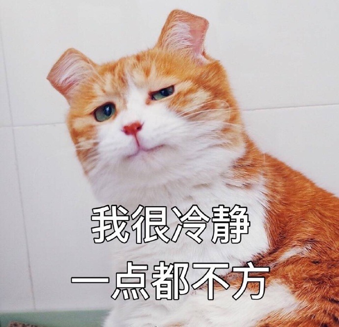 搞笑猫咪表情包:我一直在憋笑,差点憋出内伤