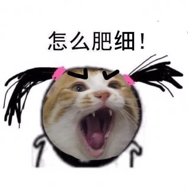 一组超级魔性的猫咪表情包:没想到你是这样的猫!