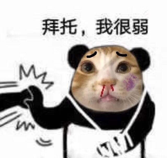一组超级魔性的猫咪表情包:没想到你是这样的猫!