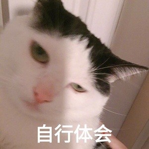 搞笑猫咪表情包:给你个眼神自行体会