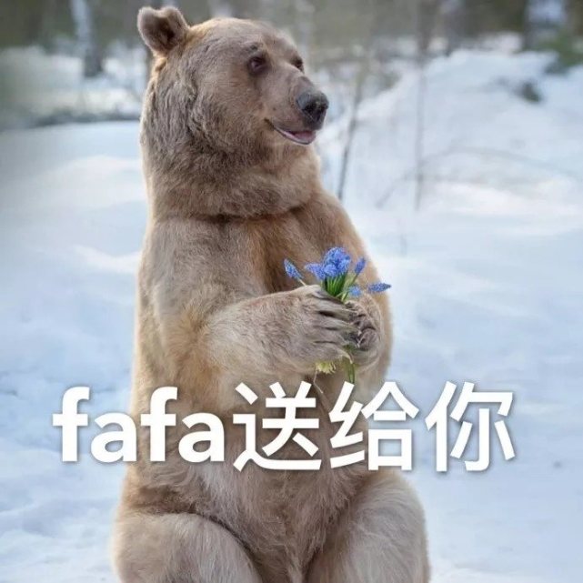 表情:fafa,送给你