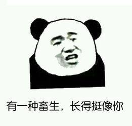 最近火了