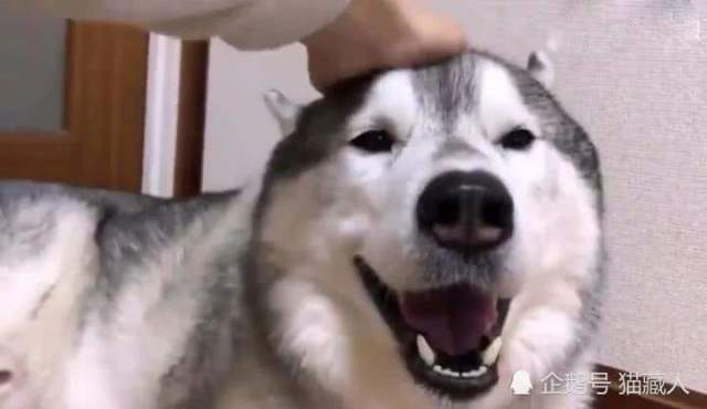 640