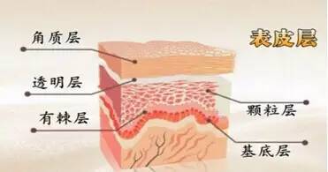 皮肤干燥起皮,咋办?