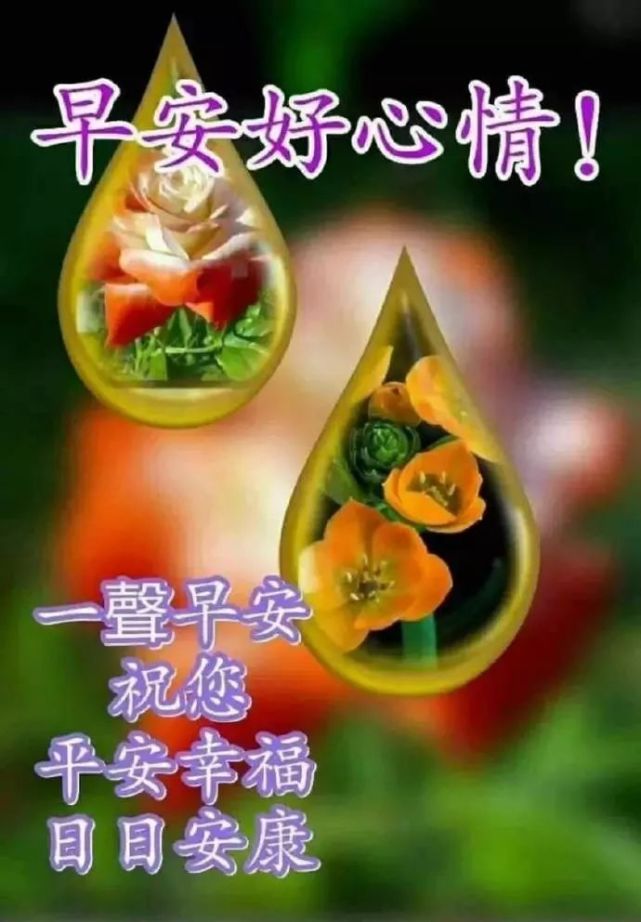 特漂亮的清晨早上好问候图片大全 微信新版早上好短信