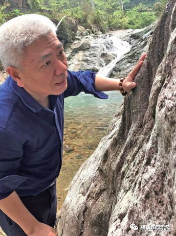地球的大脑 在永嘉出现 地质专家胡雄剑先生亲自鉴定为 看点快报