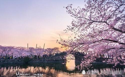 苏州的人口数面积经济总量值_苏州人口密度图片
