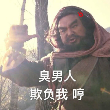 无水印搞笑专用表情包:臭男人欺负我,哼!