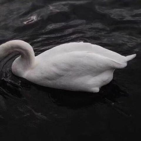 640