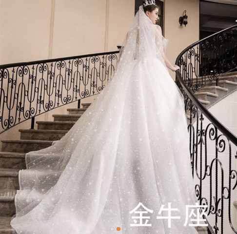 金牛座婚纱_金牛座星座婚纱礼服(2)