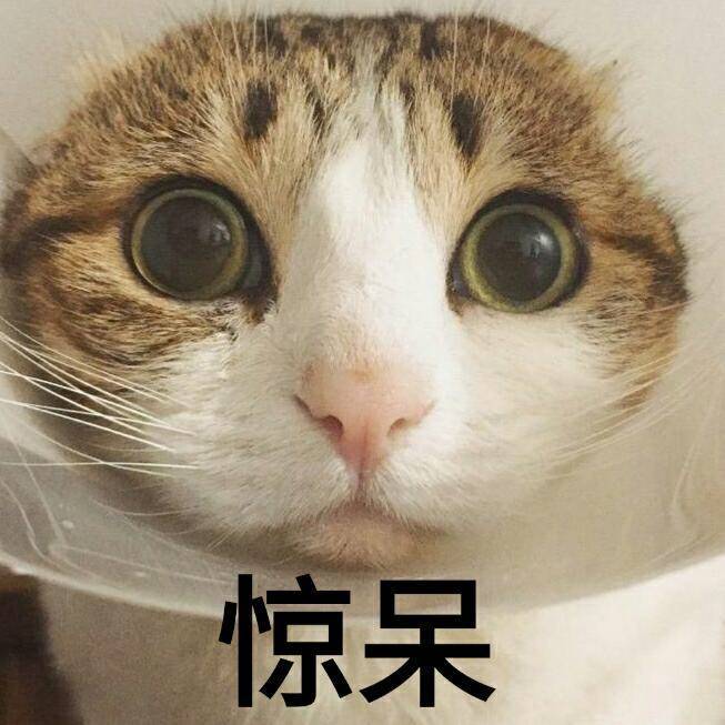 超奈斯小奶猫表情包:呵,男人!随你吧,我的心已经死了!