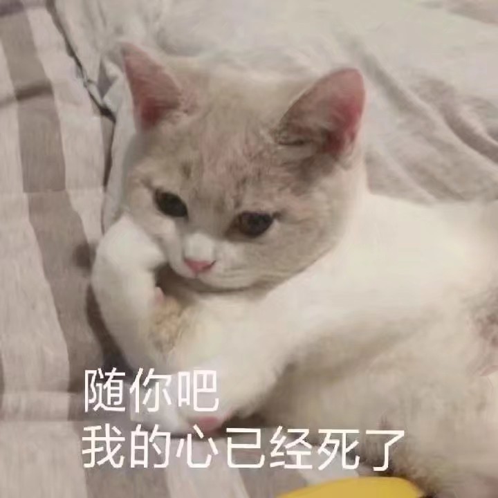 超奈斯小奶猫表情包:呵,男人!随你吧,我的心已经死了!