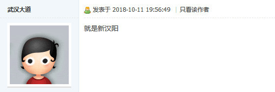 武漢新火車站如何命名引網(wǎng)友爭議 武鐵回應(yīng)了(圖6)