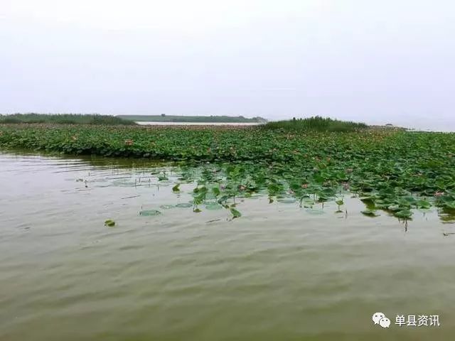 孟渚泽遗址-单县浮龙湖