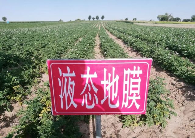"液态地膜"听说过吗?白色污染问题终于解决啦!