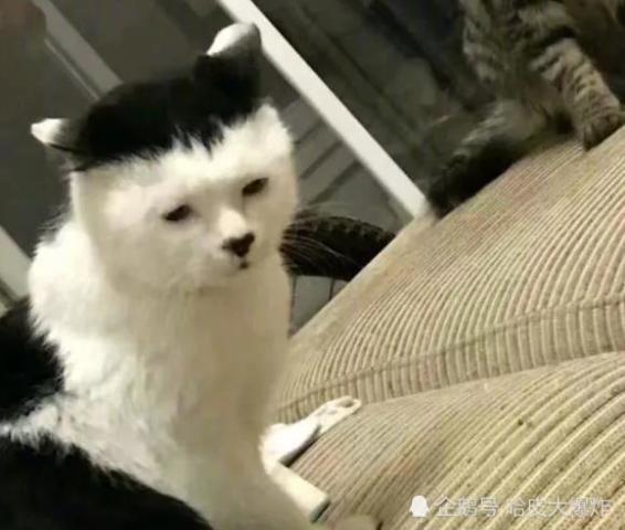 640