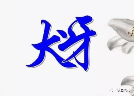什么什么不易成语_成语故事图片