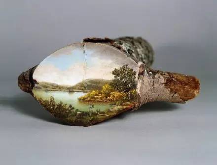 通往另一个世界的横切面,谁能想到树桩竟能如