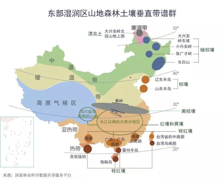 蒙新干旱区山地森林土壤垂直带谱群,主要受经度影响