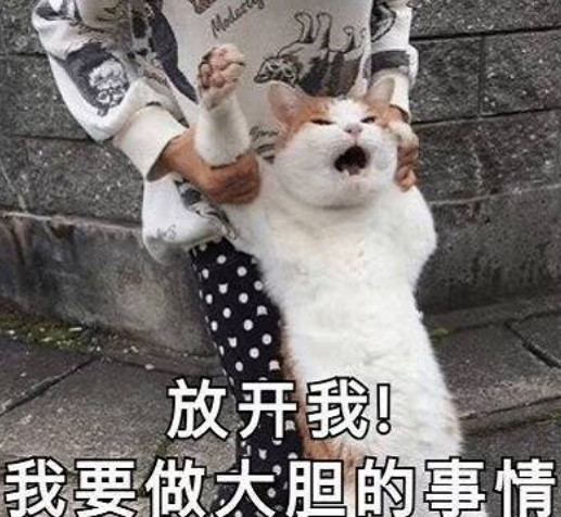 有一种超火的表情叫做你清醒一点:别在道德的底线上