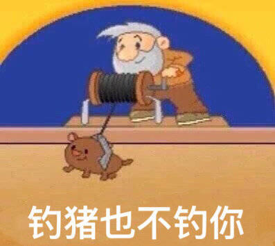 搞笑超逗的表情包,这座城,多了一个高兴的人