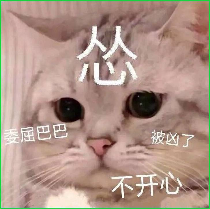 "猫咪装傻"专用表情包.你说啥?风太大,我听不见!