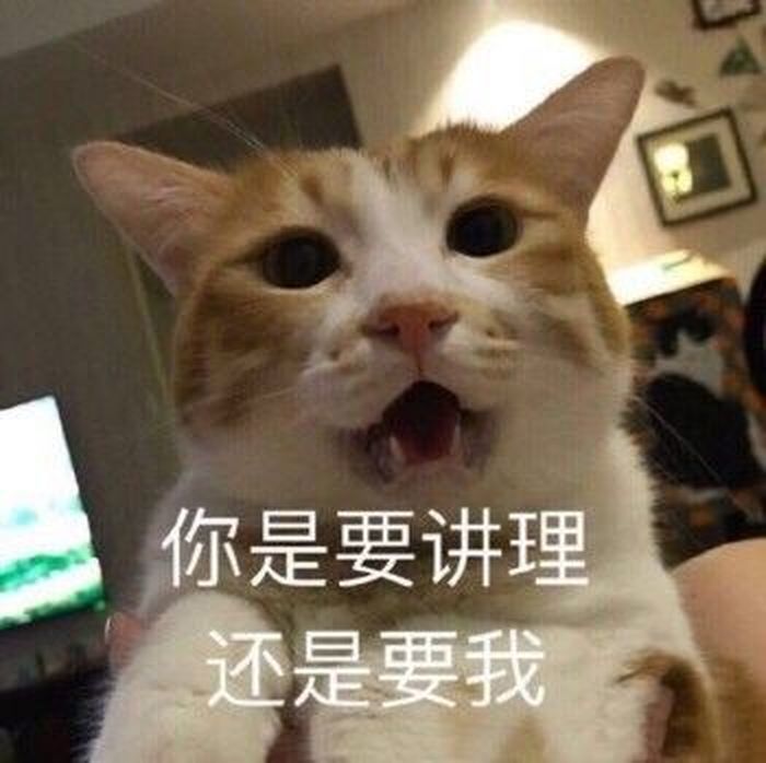 妈见爱小奶猫表情包:像我这种喵,你除了宠着也没有别