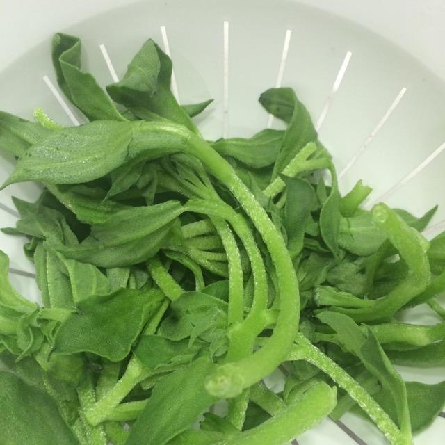 冰菜还有这么多功效,春季应该多吃,你了解吗?