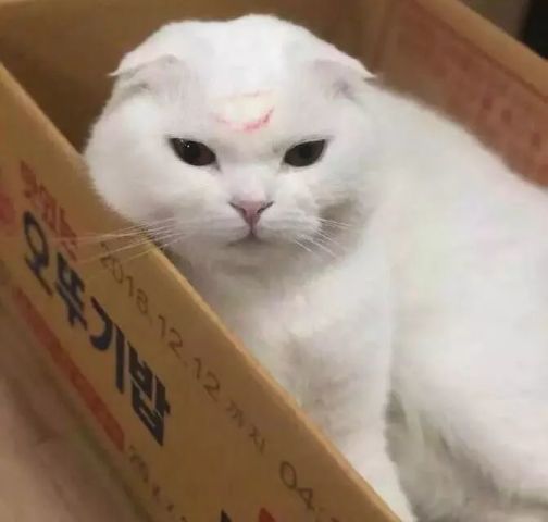 640