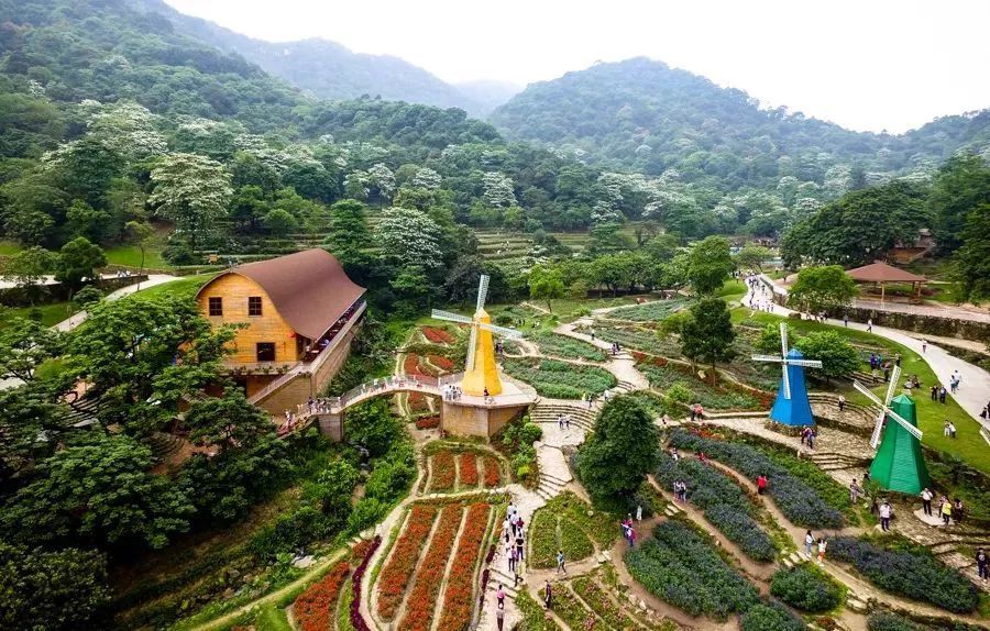 广州人又有好去处啦这8条乡村旅游精品路线是周末生态游首选