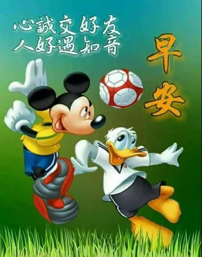 4月20日周三群发早上好问候祝福动态表情图片最美早晨好问候表情动态